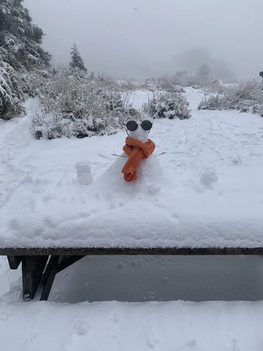 影/白雪降臨武陵四秀新達山屋！銀裝素裹太美　積雪厚10公分