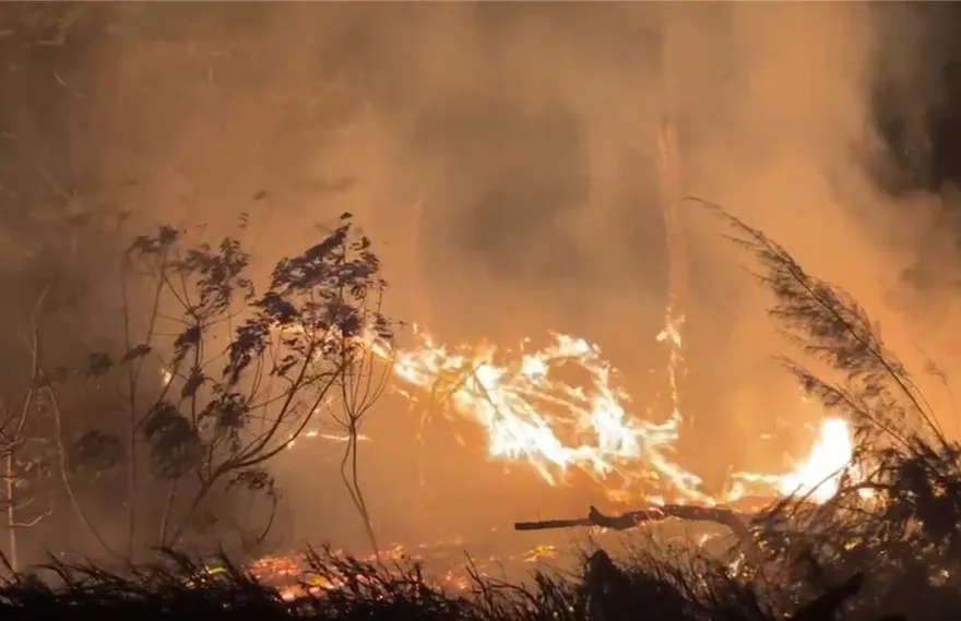 金門跨完年驚見「林地大火」！大面積狂燃