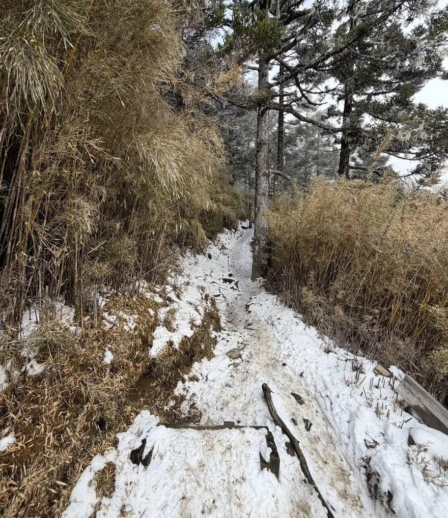 影/雪山大霸線降至零下1度！步道積雪5公分　中霸山屋出水口結冰