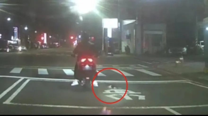 影/差點輾過去！喵喵鑽機車輪下取暖　楠梓暖警趴地救出