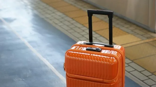 旅客亂扔行李箱！日飯店出奇招變身「種菜容器」　屋頂菜園成奇景