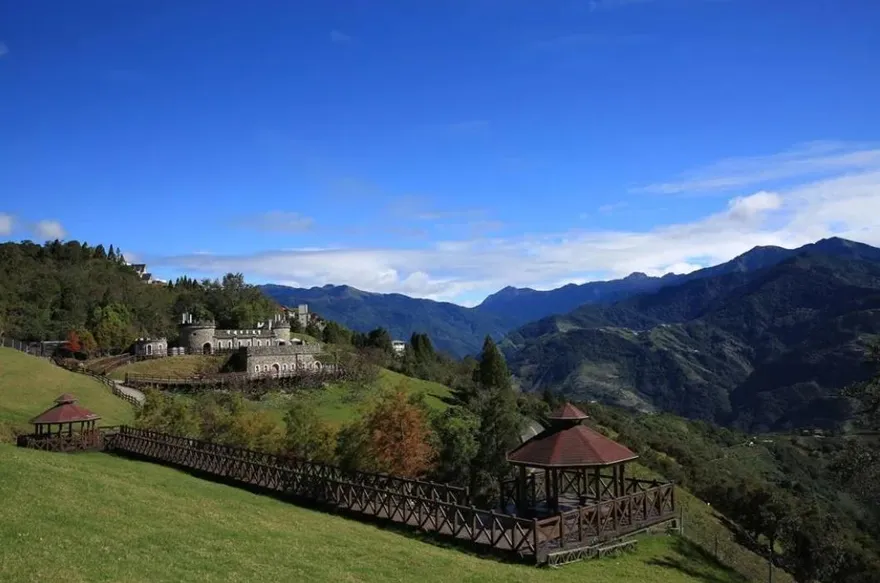 中部農場春節遊程夯！　清境綿羊秀、武陵賞櫻一日可達