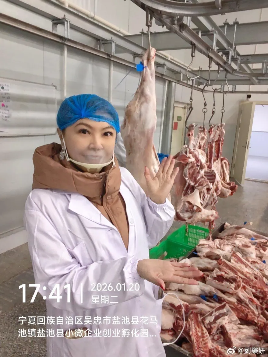 劉樂妍曬照片自嘲「賣肉還債」！被傳破產PO住處打臉