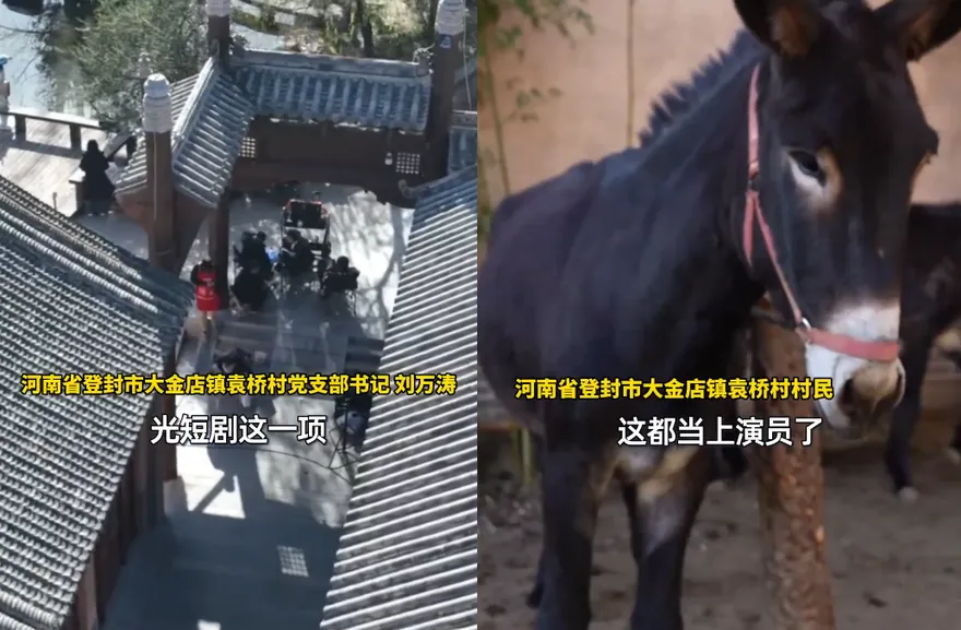 影/陸百年古村變短劇取景地　動物當臨演「驢子日片酬超2千」