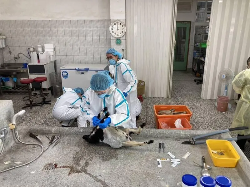 全國第一起「空拍機下毒案」竟在宜蘭！