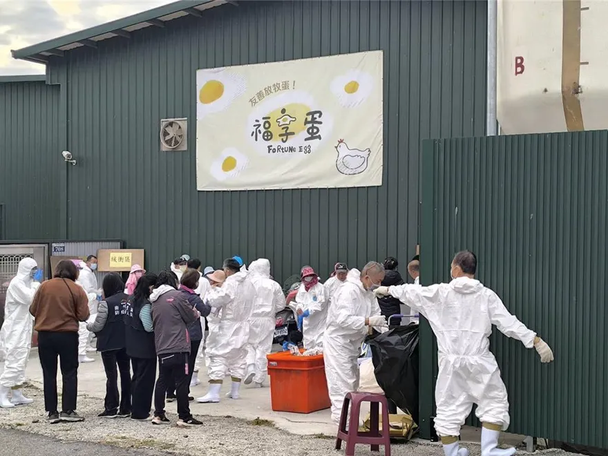 豐康牧場爆禽流感竟「自行掩埋」未通報　5千蛋雞今全部撲殺