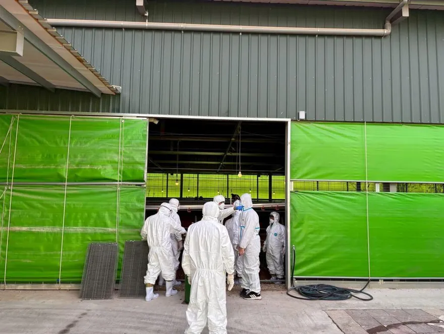 豐康牧場爆禽流感！7125台斤雞蛋流入多縣市　農匠市集全面下架退費