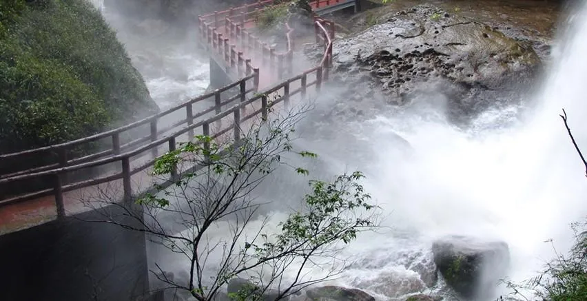 過年走春！杉林溪森林生態渡假園區、清境農場療癒身心