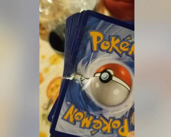 寶可夢卡牌擋下流彈！他睡夢中逃死劫全靠「熾焰咆哮虎」