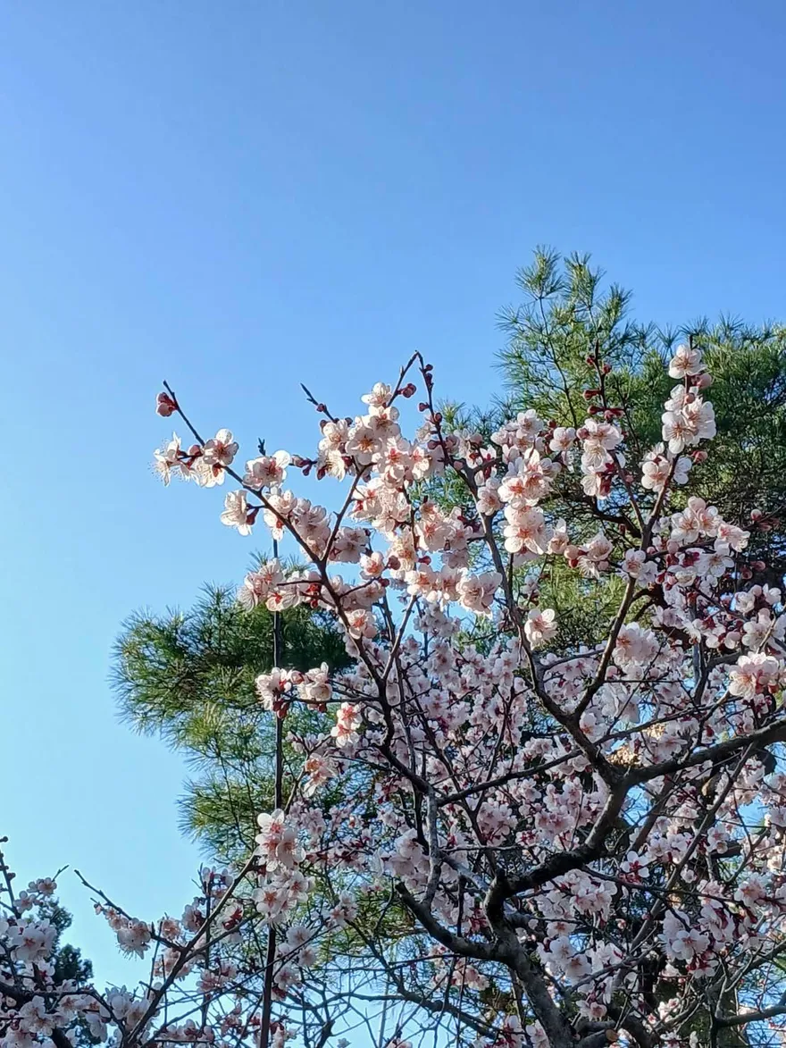 今立春「4生肖」財運大洗牌　鹹魚翻身財路自開