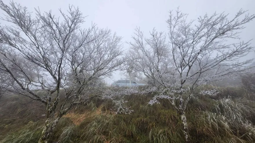 宜蘭太平山現冰霰、霧淞！　遊客首見直呼超興奮