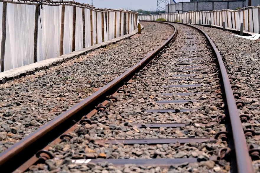 台鐵急煞！駕駛員驚見鐵軌旁「移動草叢」　他挨罰了