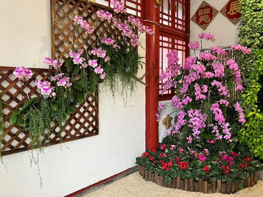 士林官邸春節花卉展2/14登場！　馬年喜迎「蝴」氣滿滿