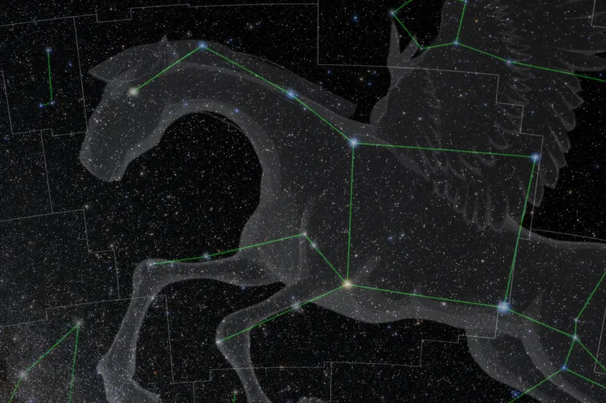 抬頭找「馬」！馬年限定星空指南　銀河「天馬」奇景大公開