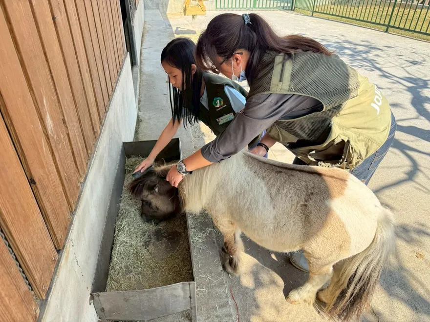 超暖！宜蘭空拍機投毒老闆被起訴　九九峰動物園接手救萌寵