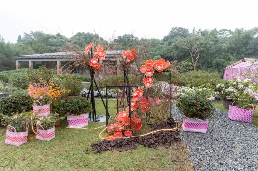 賞花抽好禮！萬金杜鵑花展登場　邀請民眾「馬上出花」