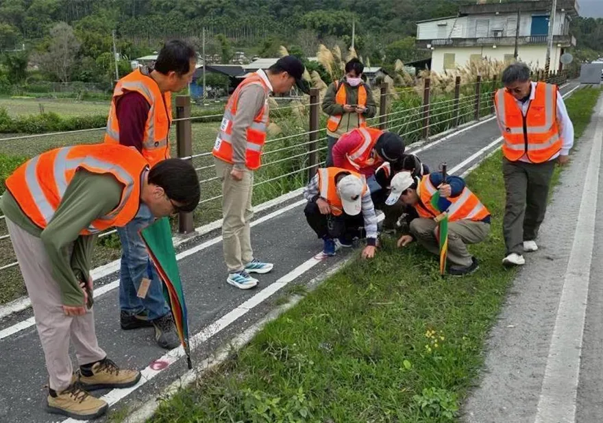 花蓮台9線紅火蟻入侵警報！公路局啟動「地毯式巡查」阻擴散