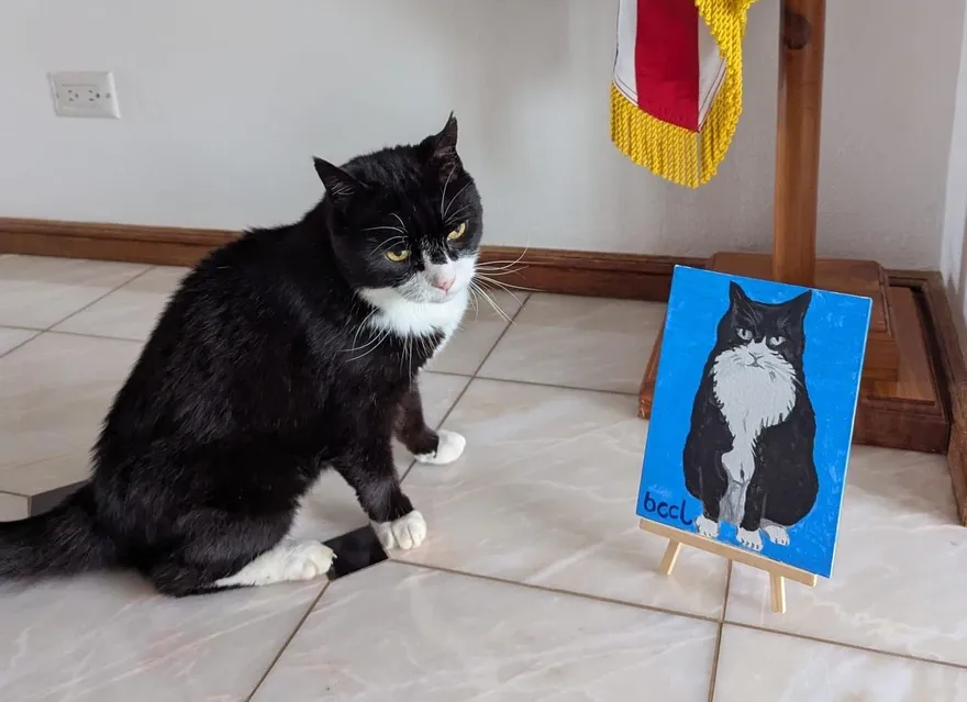 英國「首席捕鼠大臣」12歲安詳離世　外交部沉痛悼念