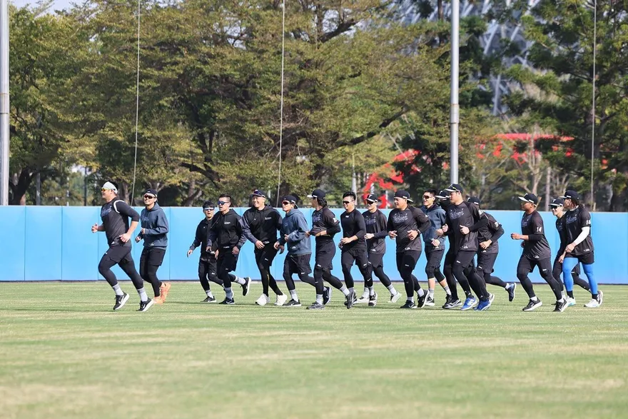 WBC/龍仔、費仔可望提前來台　蔡其昌：狀況偏向樂觀