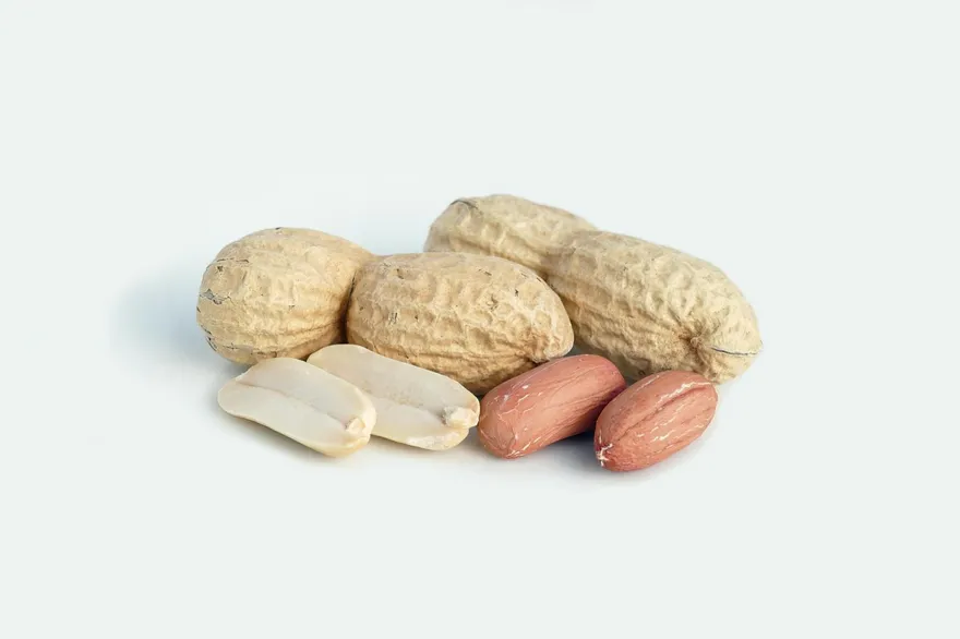 花生降21%死亡率！美研究證實：每天25克延緩細胞老化