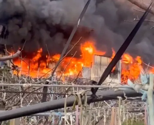 影/梨山工寮祝融！疑地主之子借錢不成縱火　果農損失逾600萬