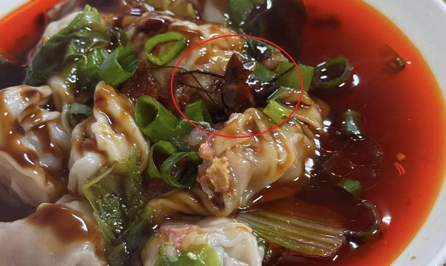 苗栗水餃麵食館內用「吃到蟑螂」　當事苦主怒喊抵制