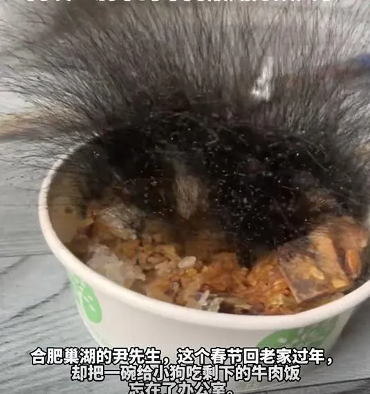 牛肉飯長出「頭髮」？陸男過年忘扔冒「黴菌」　濃密黑毛超驚悚