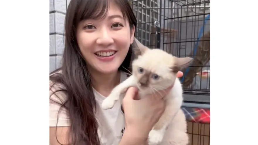 林逸欣帶幼貓搭高鐵「藏外套安撫」挨轟　急道歉：我太無知了
