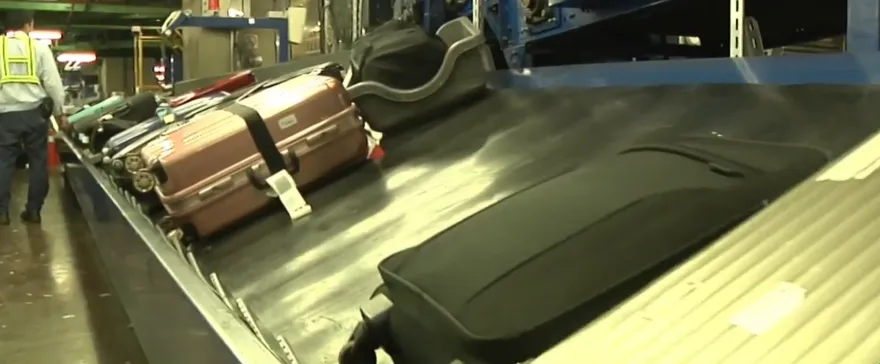 違規伴手禮罰百萬！防檢署LINE一秒查詢　肉鬆蛋捲是禁帶常客