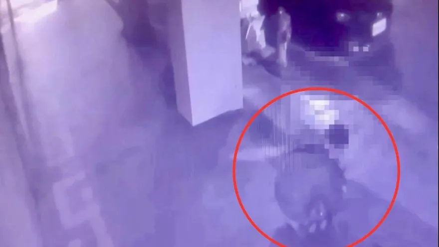 影/富商掉包包10萬現金消失　男撿走3天後送警局遭送辦