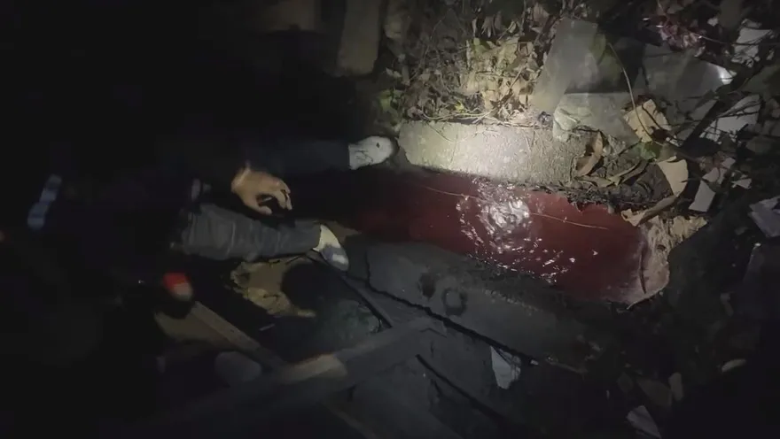 深夜驚見「血水河」！屠宰廠偷排廢水被逮　最高重罰2000萬