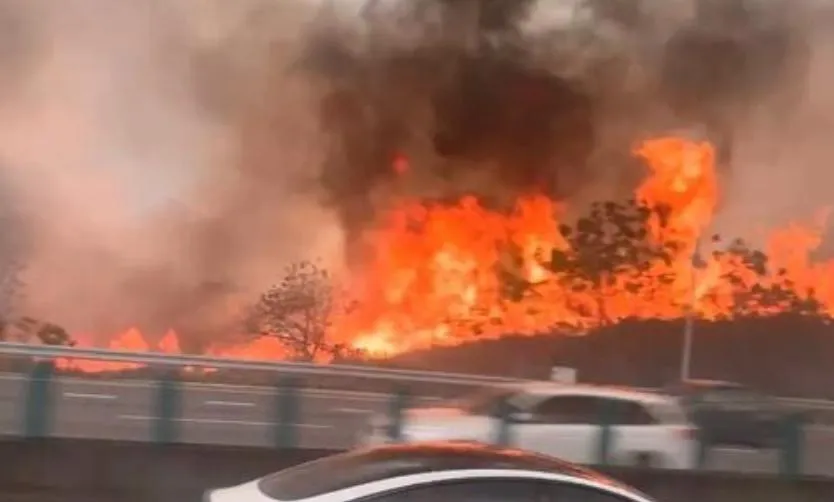台中沙鹿公墓雜草火警　烈焰燃燒濃煙竄國道