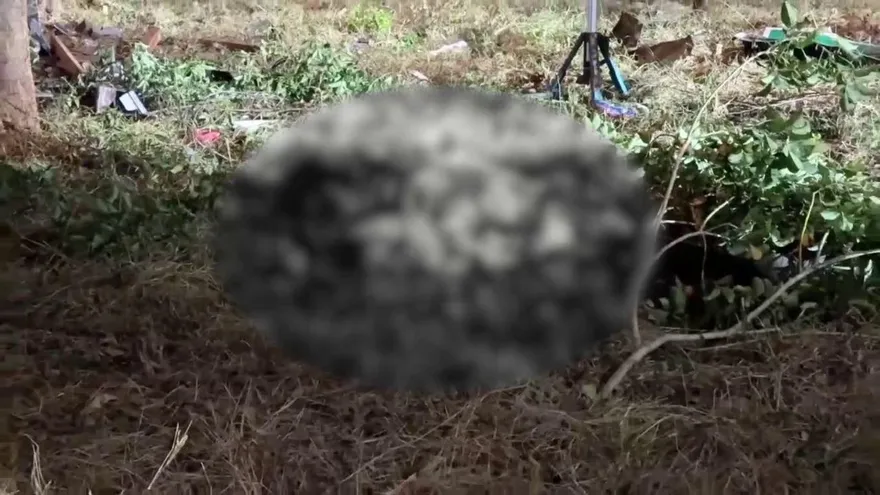 影/台74霧峰段人隨車頭飛墜6樓深橋　直擊奪命變形現場