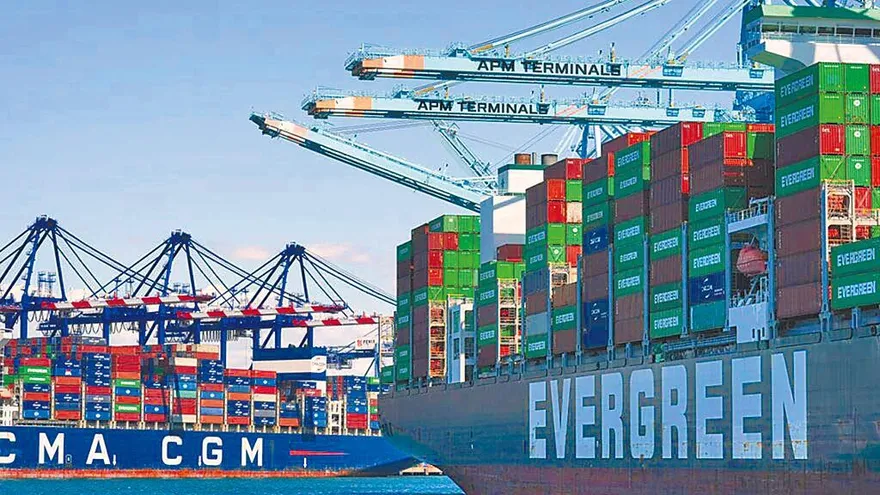 長榮股東嗨翻！豪發16元現金股利　股價大漲逾5％