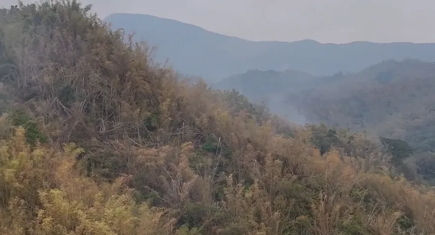 影/高雄美濃近黃蝶翠谷竹林火警　消防陸空搶救撲滅