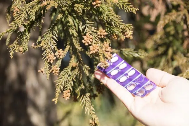 氣候變遷讓花粉變更毒！過敏季提早報到…症狀恐更嚴重