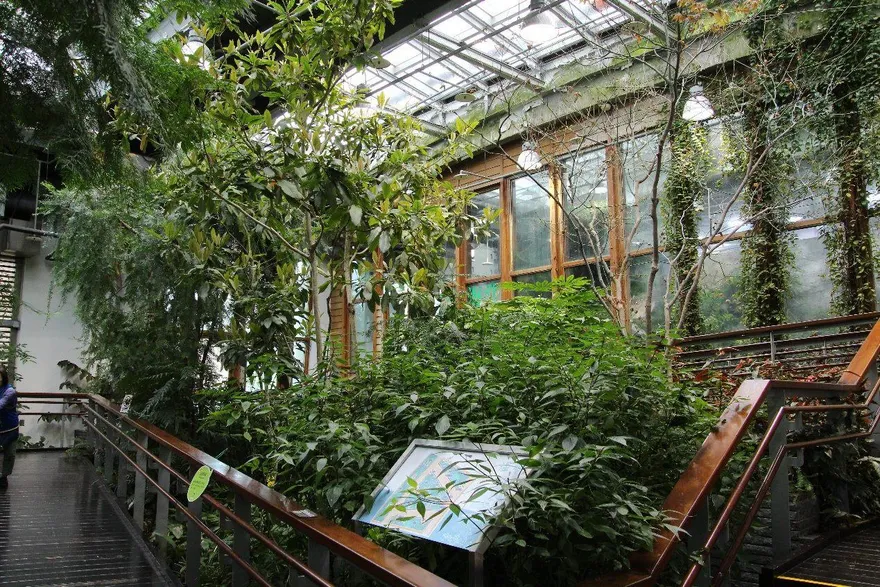 國寶級造林樹種大揭密！台北典藏植物園打造生態綠網