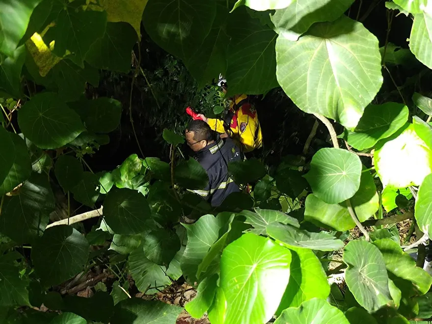 台中父子墜谷案！老父喉嚨及胃部有農藥殘留　兒子羈押禁見