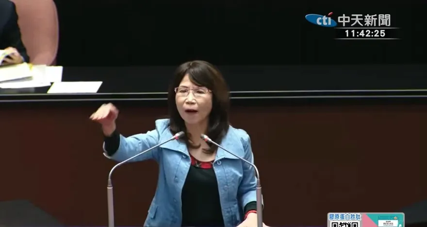 力挺李貞秀！陳昭姿嗆賴清德宣布一邊一國　綠委場邊高喊回應