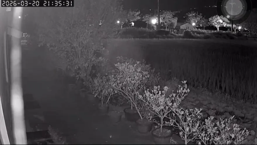 影/連2震畫面流出！花蓮地鳴聲如獅吼、鐵皮震動嚇壞汪星人