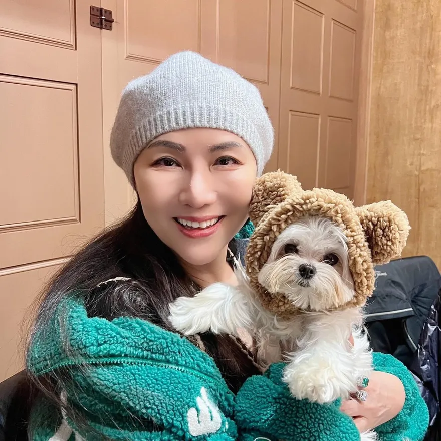 洪誠陽怒控張淳淳欠千萬！吳宗憲發聲：何必起波瀾