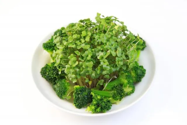 嚼越久排毒越強！「青花菜苗」蘿蔔硫素含量勝花椰菜30倍