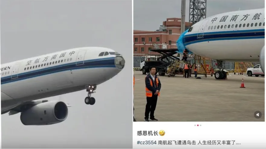 感恩機長！南航飛深圳班機遇鳥擊　「機鼻罩甩飛」平安返降上海