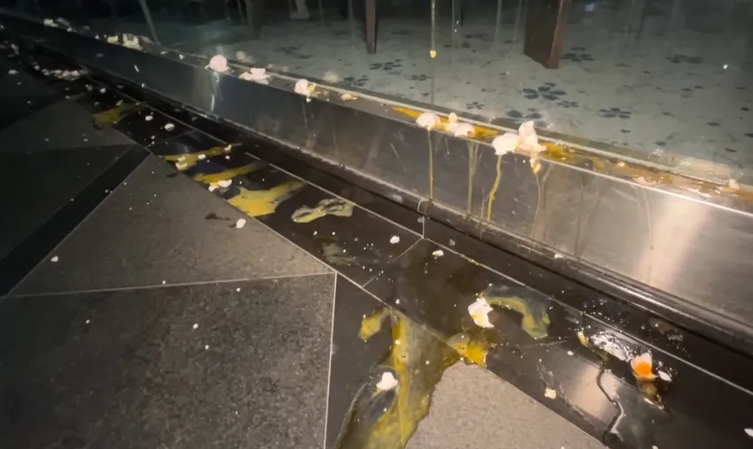 影/保險理賠糾紛！高雄3人凌晨「蛋洗」大樓　狂噴紅漆洩憤