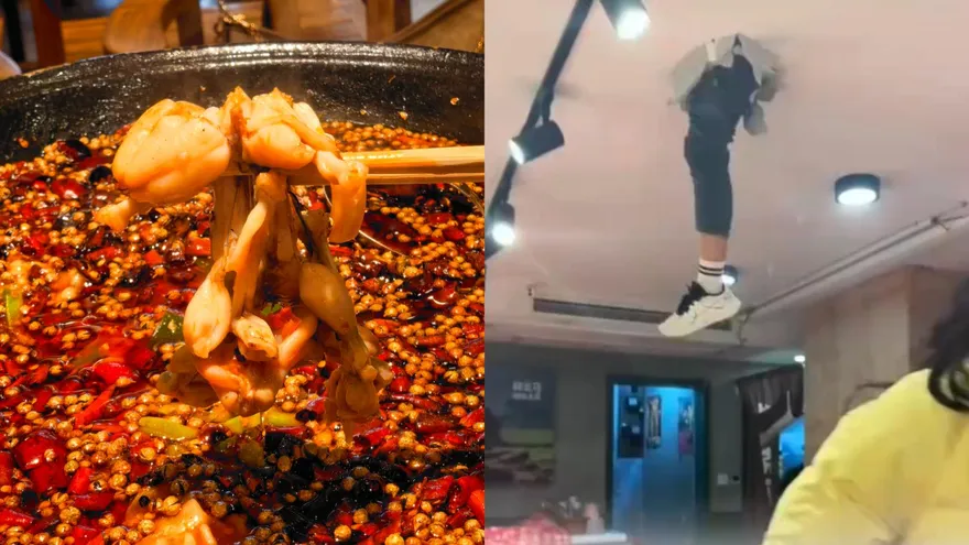 驚悚！牛蛙啃到一半...陸餐廳天花板「掉出一條人腿」原因曝