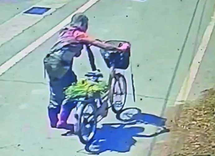 彰化阿嬤遭群犬撕咬重傷　郵差繪「惡犬分布圖」助警揪真兇