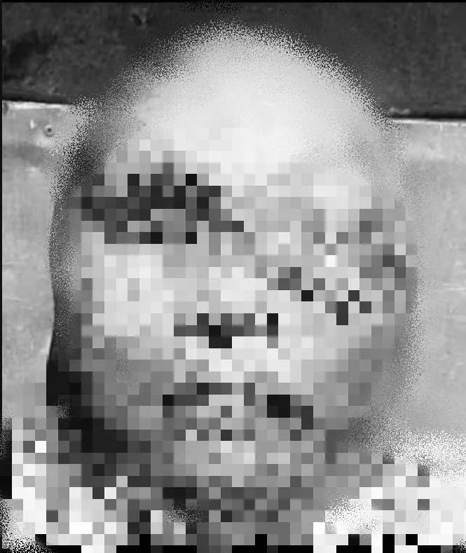 不只受到槍傷「臉遭砍裂」！林秉文悲慘死狀近距離曝光