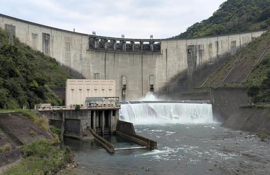 王鴻薇轟台電雙標！買光電花12元　卻低價坑翡翠水庫