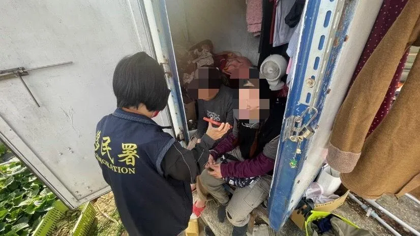 影/美女照誘騙！百名泰人淪血汗草莓園苦工　還狠遭丟包