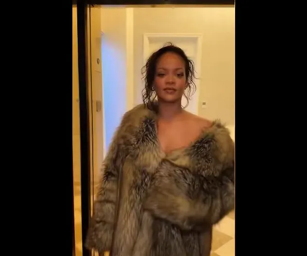 蕾哈娜豪宅遭槍擊細節曝光！犯嫌射20發子彈　否認謀殺未遂